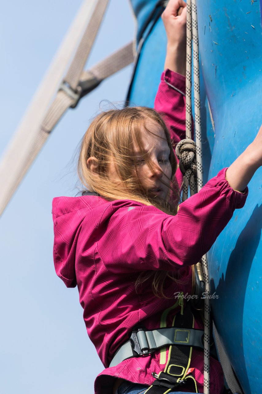 Bild 325 - Vogelschiessen